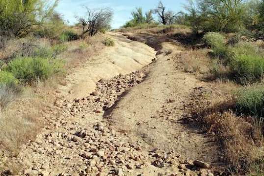 Taking the more interesting final approach to camp netted me this climb. I decided on hugging the left border, since it was broader and would give me the best chance to stay out of that show-stopping gully.