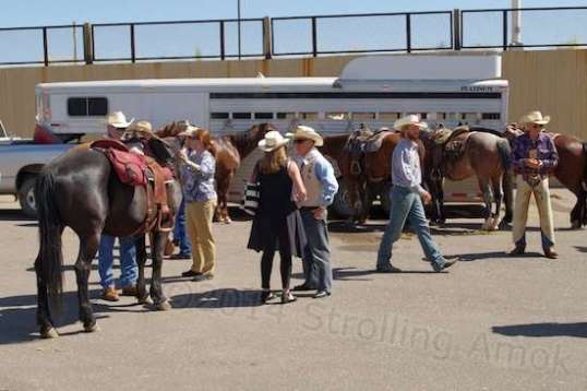 Basically, the Community Center parking lot fills with long trailers, horses, riders, relatives, and assorted gawkers.