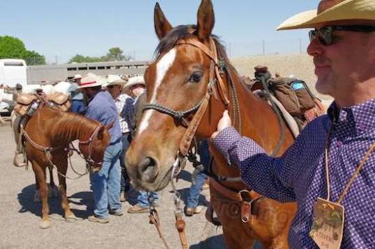This horse looks unusually smart, and I asked its rider if that was likely to be a problem. "Yeah, hard to say. This is his first go here, so we'll see," he joked.