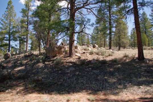 Biking down the trail and looking off to the side. Much pleasantry.