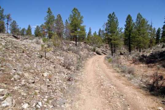 My fav part of any trail, the gradual downhill.