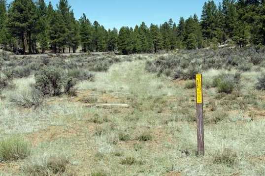 Still listed as approved for motor vehicle travel on the MVUM, this trail has been closed for awhile, I'd say!