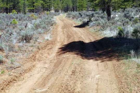 Gear up and go! I wouldn't drive a modern minicar down here without paying attention to that center berm.