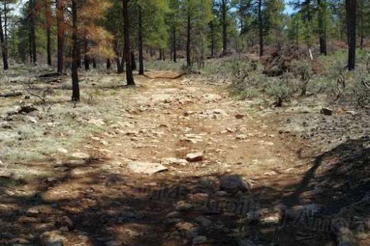 A few hundred yards of this is enough, and yet picking your way through keeps it interesting.