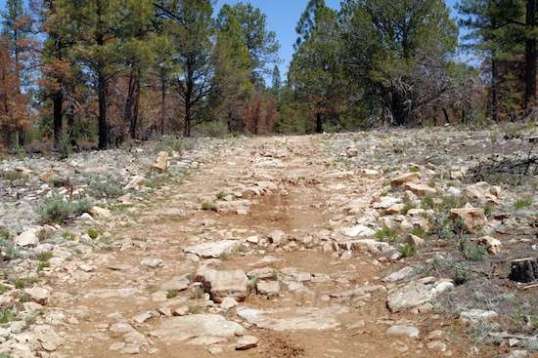 Ugh. No more picking a path. You just choose a side and go. It's tough on tires and that front suspension. That full-suspension Aries model starts looking pretty good about now.