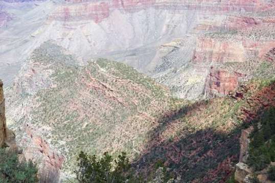 You're looking about a mile down here. This is one of the few places on earth where the time it takes to get to the bottom on foot can be just as quickly accomplished as by automobile, simply by using the principle of terminal velocity.