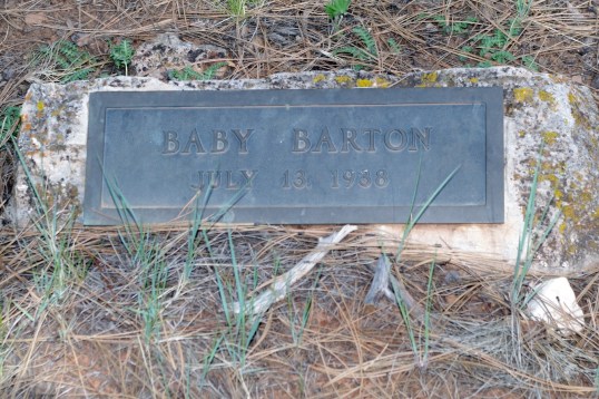 Just the briefest breath of life, if that. A reminder that we should not take our own days for granted.