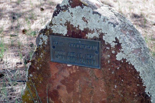 "Elsie Chamberlain, August 1878-May 1888." At that time, less than 3 of 10 of those born could expect to reach age 70, and the sifting began early.