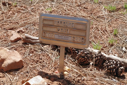 This is a marker left by a mortuary. Not everyone can afford a gravestone, or is in much of a position to deal with such a heartbreaking loss.