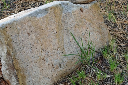 I had serious problems deciphering this one, which is obviously hand-made. Best guess: "In loving memory, Troy Gasttasne, 1965." 