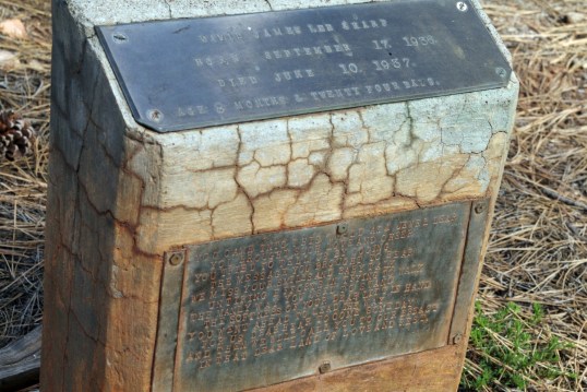 By general appearance, I thought this to be of another colorful character, but it is for David James Lee Sharp, 1936-1937, "Age 8 months & twenty four days." A heartfelt expression for the infant is on the lower plaque.