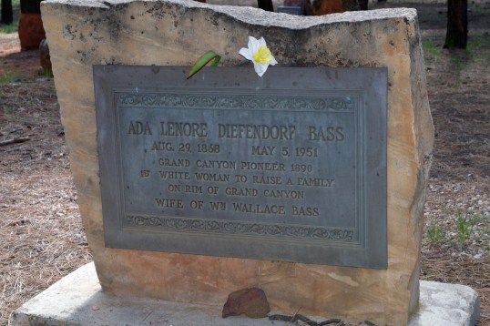 Another wow. Hope your screen is big enough to read this.