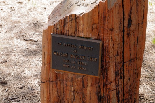 "In loving memory of Watson Mosely Lacy, 1883-1963."