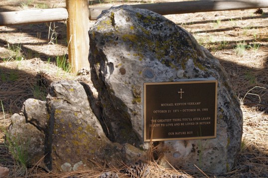 Michael Kenyon V., at 1971-1995.