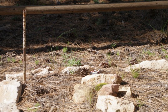 "Amy Clark" and a single illegible date painted on an iron bar is all there is. The date could be 1980, but the paint has crawled and filled in so badly that there's no telling. Apparently, circumstances were such that this painted stick is all that could be done.