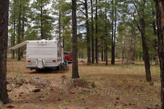 Just another shot of camp.