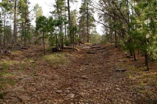 An inviting trail, no? A slightly smoother detour is to the left.