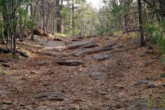 Tent camping from your Prius? Not here.