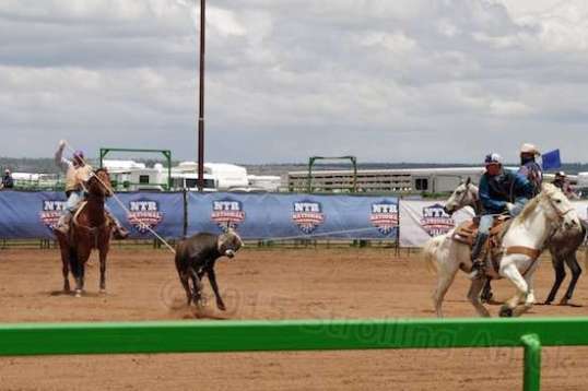 They approached their roping with visible intensity, and seemed able to make opportunities instead of waiting for the right time. It was apparent that they had plenty of experience under their belts. 