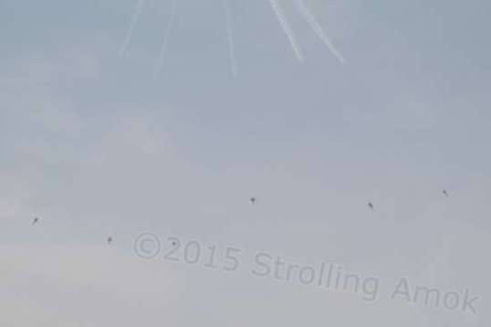 They spread and each take their own paths.