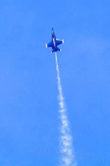 ...suddenly yanks up. I pumped the colors in this shot just because I liked it. Nature photogs do this routinely to make the shots look better than what's really there.