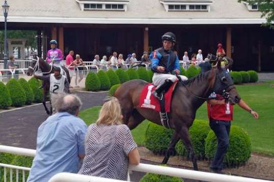 Hey, bet on me! I'm gonna win!