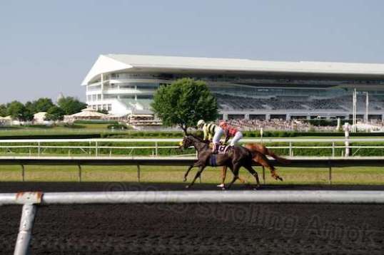 Taken from the far side of the track, these horses ran on the grass and then returned on the dirt at an easy trot.