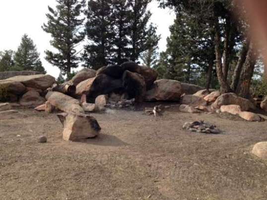 Same campsite, different direction. Nice campfire site with natural windbreak.