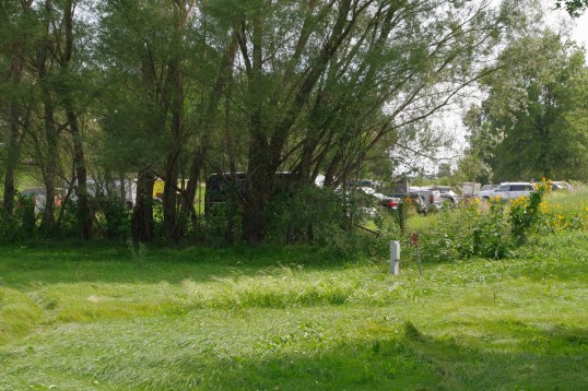 I knew you wouldn't want to say it, but it's here for you. The full view of the junkyard. You're welcome.