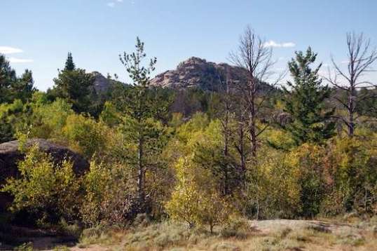 Another long shot to a mountain of boulders, but this one also reminds me that were I to run and jump off of the abrupt drop-off just ahead, whatever injuries suffered would be fairly unlikely to include any ground contact. It's that dense! Blazing your own path here would be an ordeal.