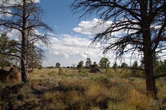 Walking in the opposite direction relative to the trailer shows grasslands, though some type of walking boot is also a very good idea here as well, unless you will be picking a careful path rather than looking up at the landscape.