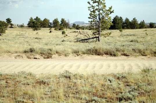 Now THIS is washboard! With ridges at least an inch high, the spacing self-adjusts to the most common vehicle speed, which here appears to be about 20 MPH. Even crawling 1.5 miles of this in a 3/4-ton truck with E-rated tires at 75 PSI is unpleasant.