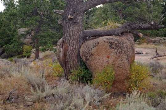 Fascinating, in some symbolically kinky way. I try not to judge, but isn't this a family website?