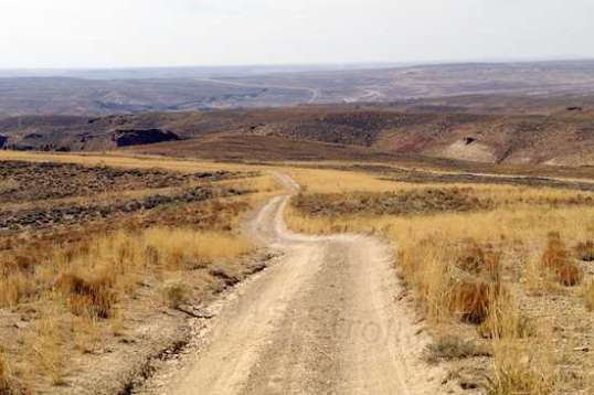 The trail more or less follows the broad top of a ridge.