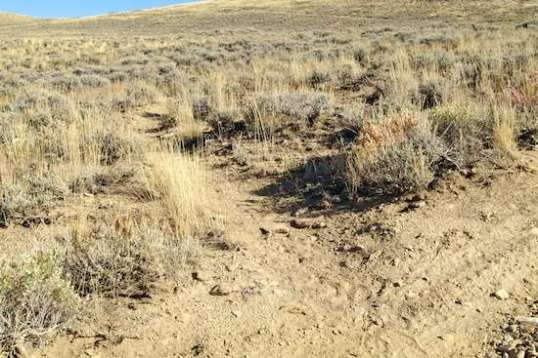 On this approach slope was a horse path crossing it. I haven't seen one wild horse here yet, but their tracks and those of antelope were plentiful.