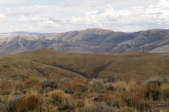 This turned out to be a short walk that took quite a while! This is a difficult area to take for granted.