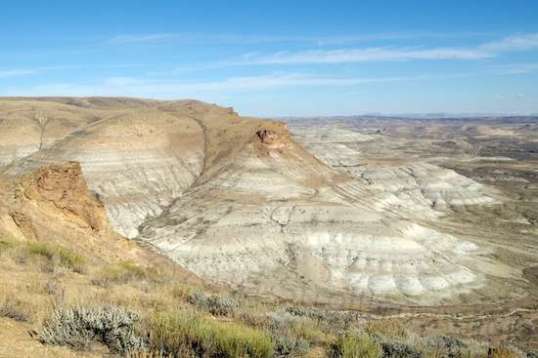 No caption needed, really.