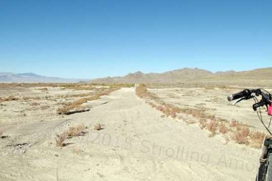 Hmmm, a side trail heading north to a point named Donner-Reed Pass, not to be confused with the Donner Pass in eastern California where the snowed-in mayhem took place. I went a little ways down it, but when I saw that it's a narrow trail and then looked at my watch to guess at my travel time along the tougher half of the loop, I decided to back out and stick with the plan.