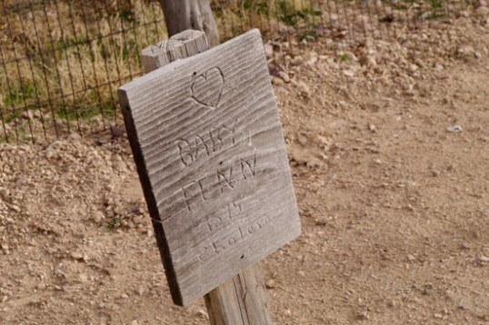 And one of the first markers i found there was "Baby Fenn", who died in 1875 of cholera.