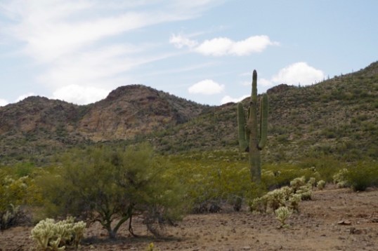 Half of the view from the State Trust site was like this.