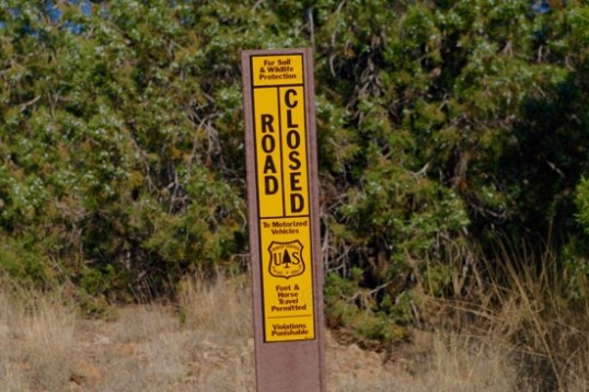 This was near the start of one of two branches not shown on the MVUM. It's open to everything but motorized vehicles, though some local kid racing an ATV left tracks on it.