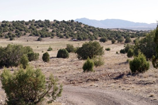 Find Waldo! The USS Intrepid is parked at center in front of a tree, though even I can barely make it out here.