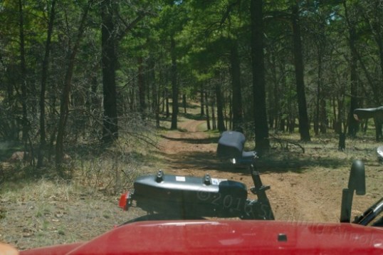 A more open section of trail off the Dogtown Lake approach.