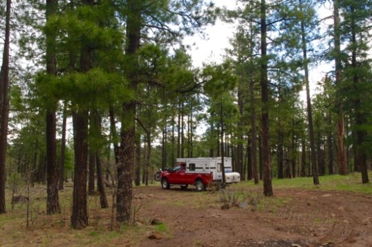 Ah, camp. Little new rain is expected, so the only remaining question is whether the goo that remains will require removing the Aurora e-bike's close-fitting fenders.