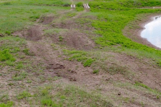 This little piece is intended to test suspension articulation, and most vehicles (like the Furd) will lift a wheel off the ground getting through it. Actually, with its perfectly even weight distribution, the Furd might well lift two wheels off the ground, except that these are spaced for shorter utility vehicles and SUVs. My pickup would most likely just totter heavily from side to side as a test of the locking cabinet door latches.