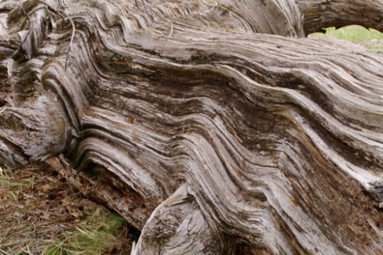 Just a little texture here.