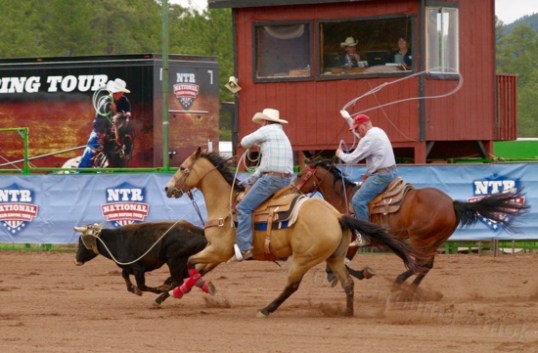 Young. Old. All same.