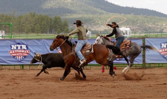 As the lead gets his rope on, Joe Hollywood in the sunglasses tries to get his timing down.