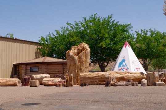 I pulled into the Geronimo store, since it had many teepees distributed about, and The World's Largest Petrified Wood.