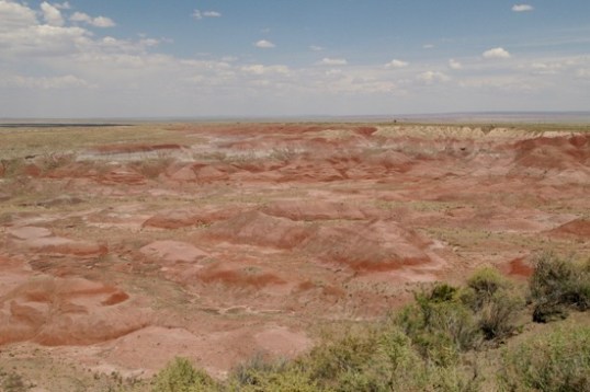 Another viewing point. These all look similar, but the variety is actually significant as you go to different areas.